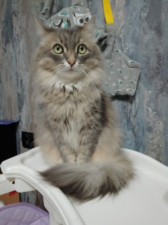 😺 Всем привет! На связи Маркиз Алексеич... Желаю вам вс?...