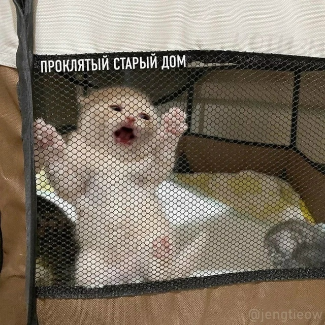 KиШ пo-котейски