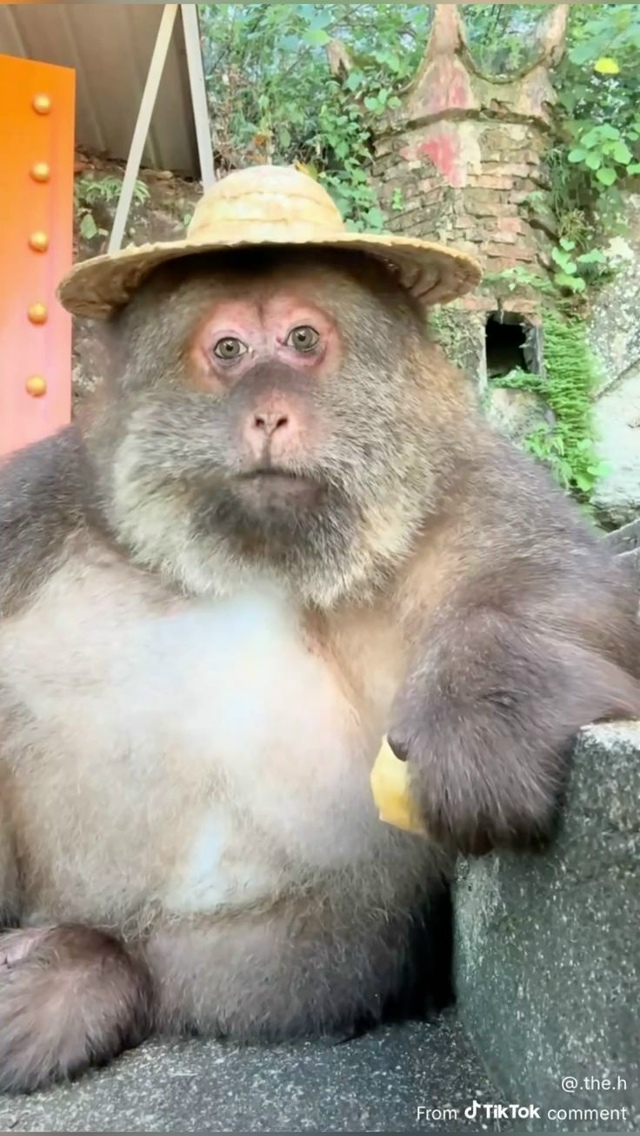 Весьма любопытное наблюдение