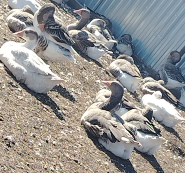 Все вопросы 89878836711