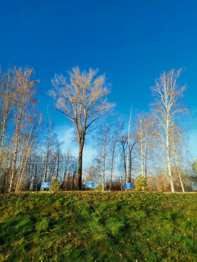 Тёплый осенний день в Салавате ☀