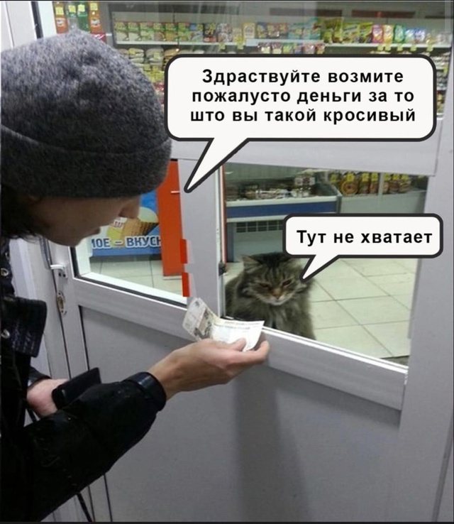 Сегодня в России отмечается День работника торговли.
?...