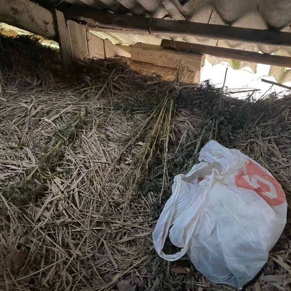 👉В Дорогобужском районе пресекли незаконное хранени?...