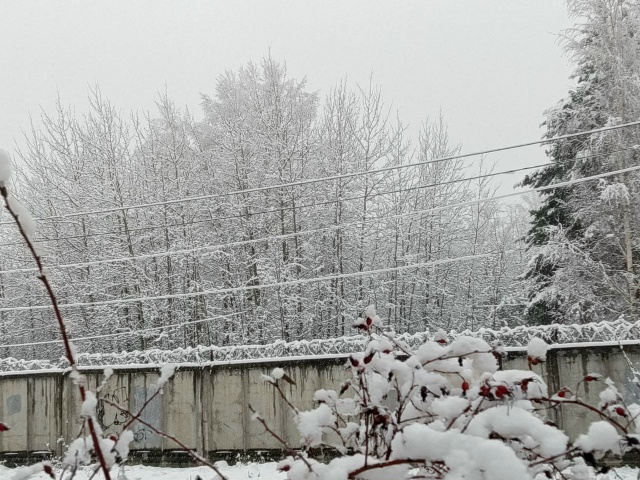 ❄ Первый снег в Коврове. Анон