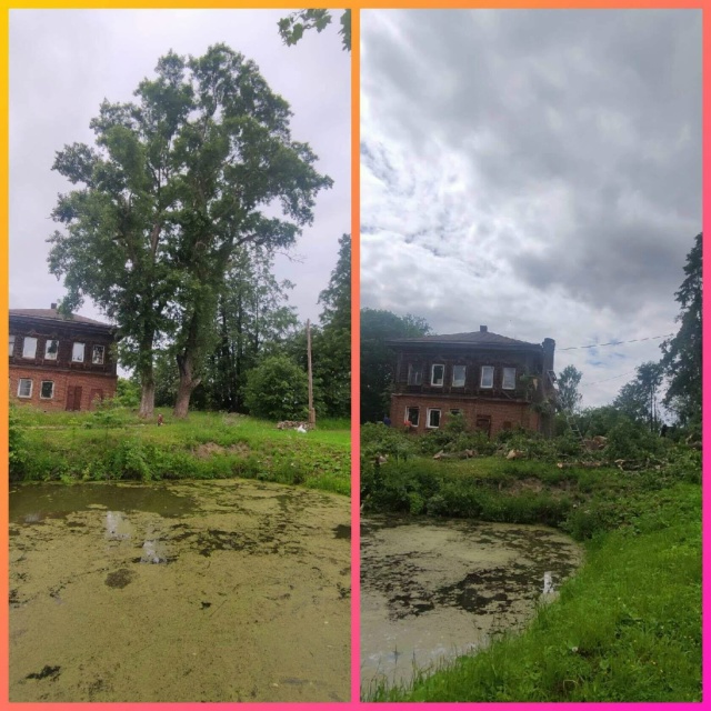 СПИЛИМ ЛЮБОЕ ДЕРЕВО (рядом с домами, проволами, заборам...