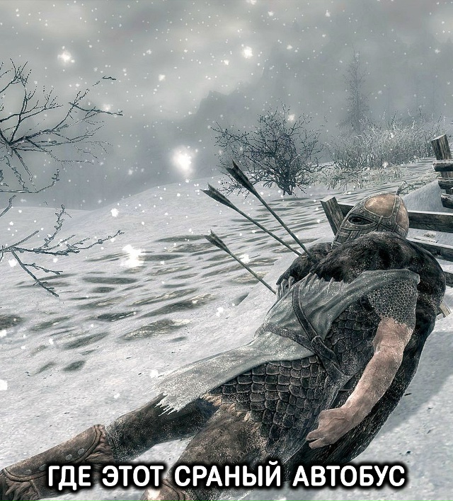 Фанаты зимы такие типа: