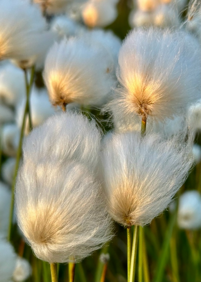 Фото: Ирина Коваль