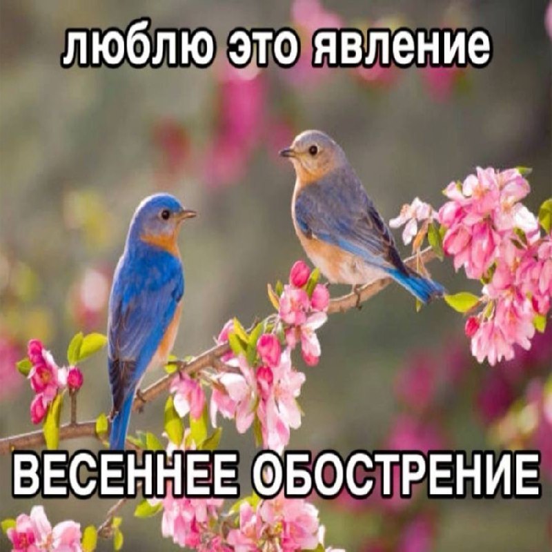 Утренняя подборочка