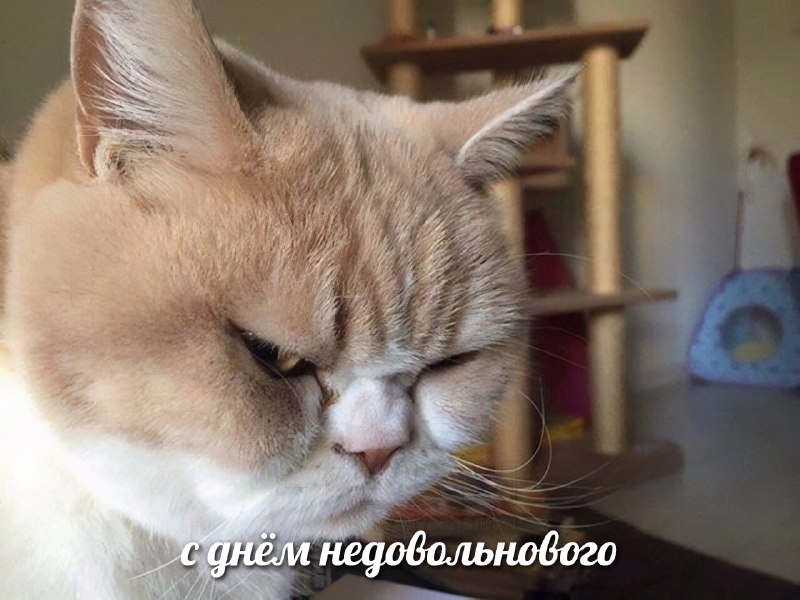 Сегодня отмечается День вечно недовольных людей
Ты знаешь, кого поздравить