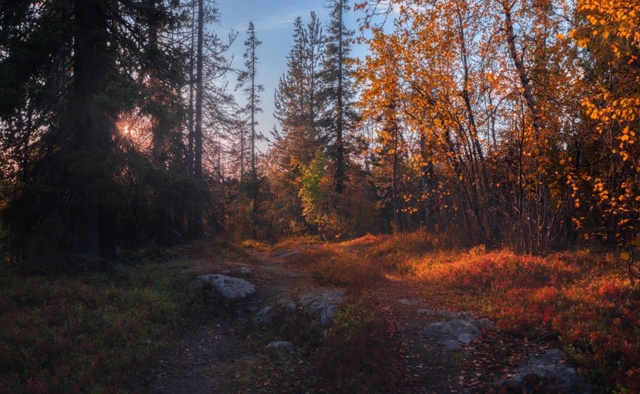 Моменты осени.
[id143810580|Виталий Истомин]