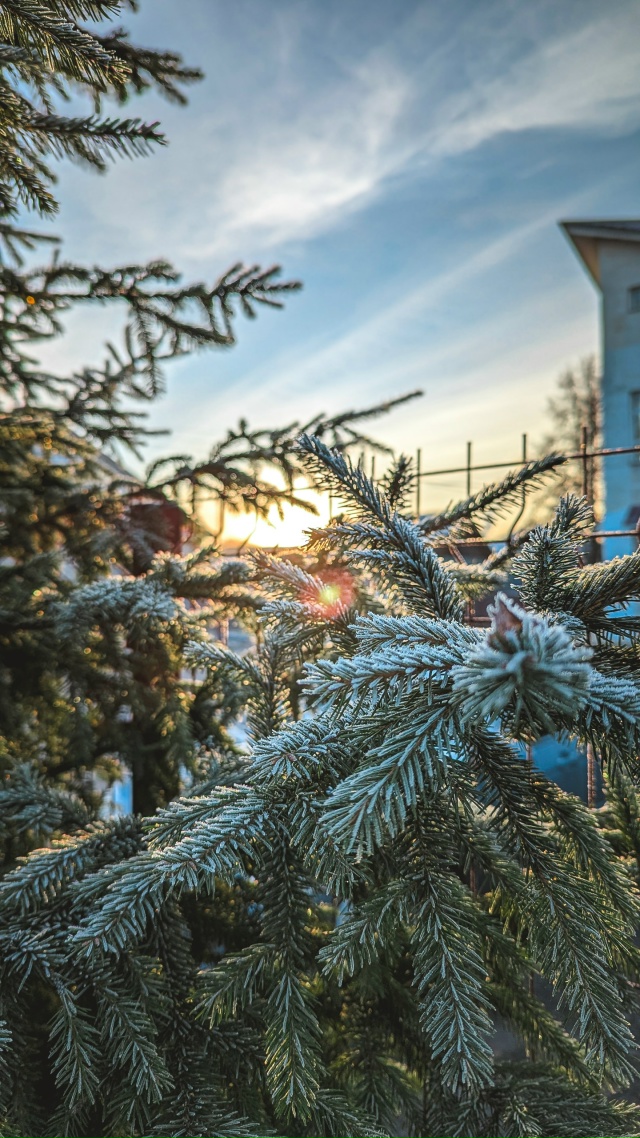Вот теперь ноябрь ❄️🍂
Снято на мобильник Google Pixel 7 Pro