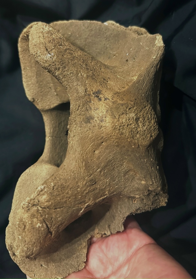 Передам за шоколадку школьному музею города (не района...