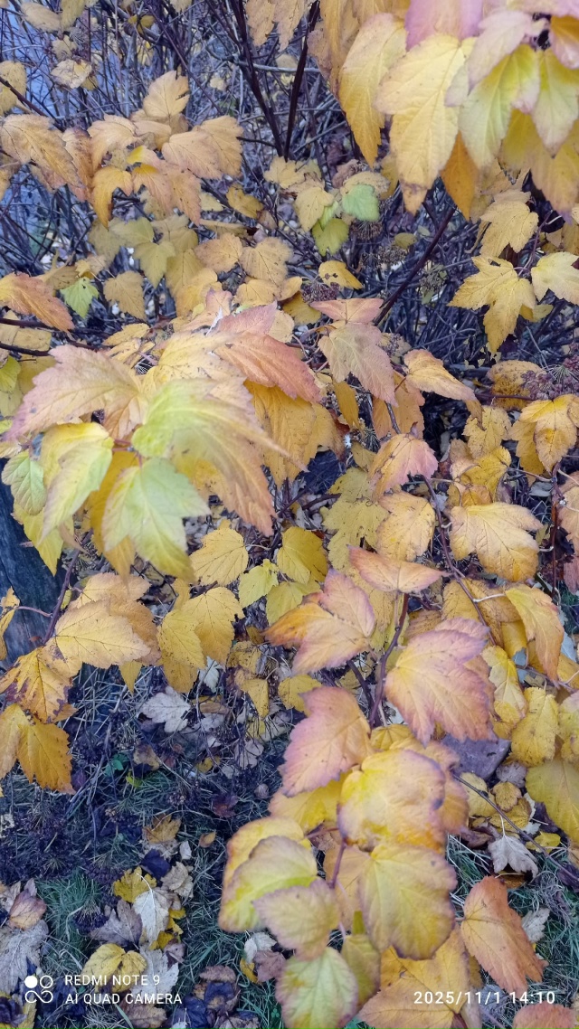 #КрасотыЛужскогоКрая