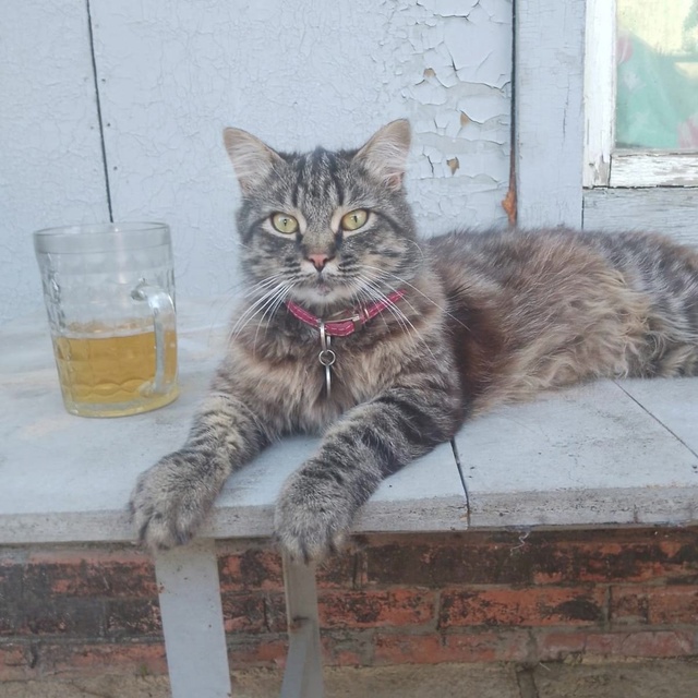 Поста про завод сегодня нет. Олег Николаевич, будучи сч...