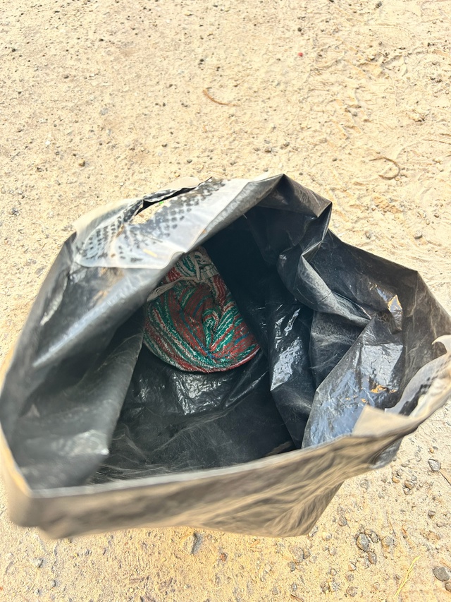 Гуляя сегодня по городу, обнаружили котенка в пакете с ...