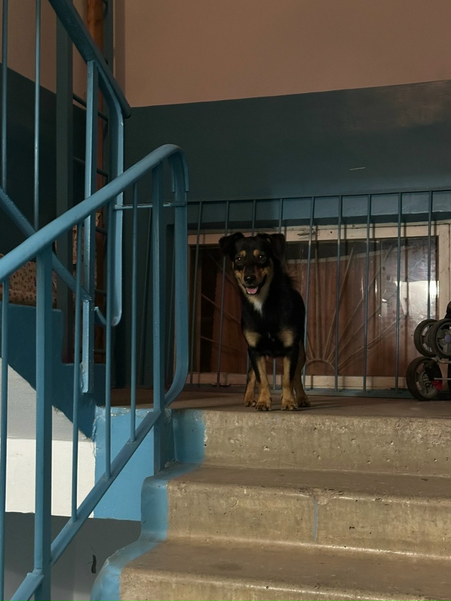 Ваши вопросы.
1⃣ На следующей неделе из Перми кто може?...