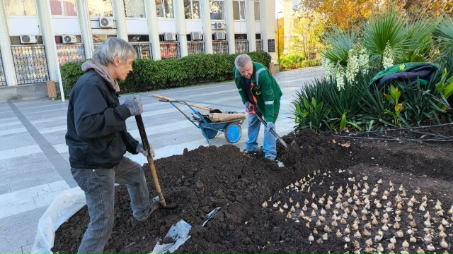 Площадь Советская станет одной из самых ярких и зелёны...