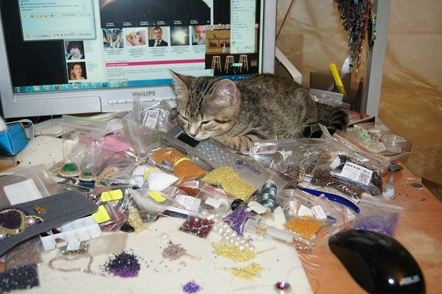 📚Бардак дома указывает на высокий интеллект и развит?...