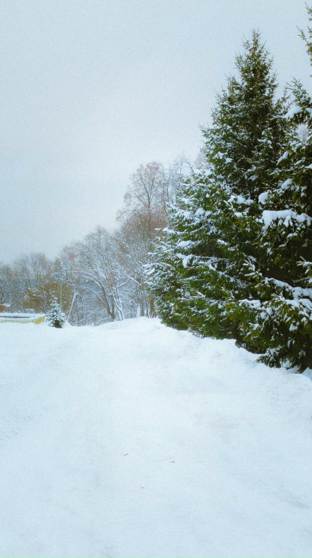 Здравствуй зима ❄️
Воскресенское, нижегородская обла...