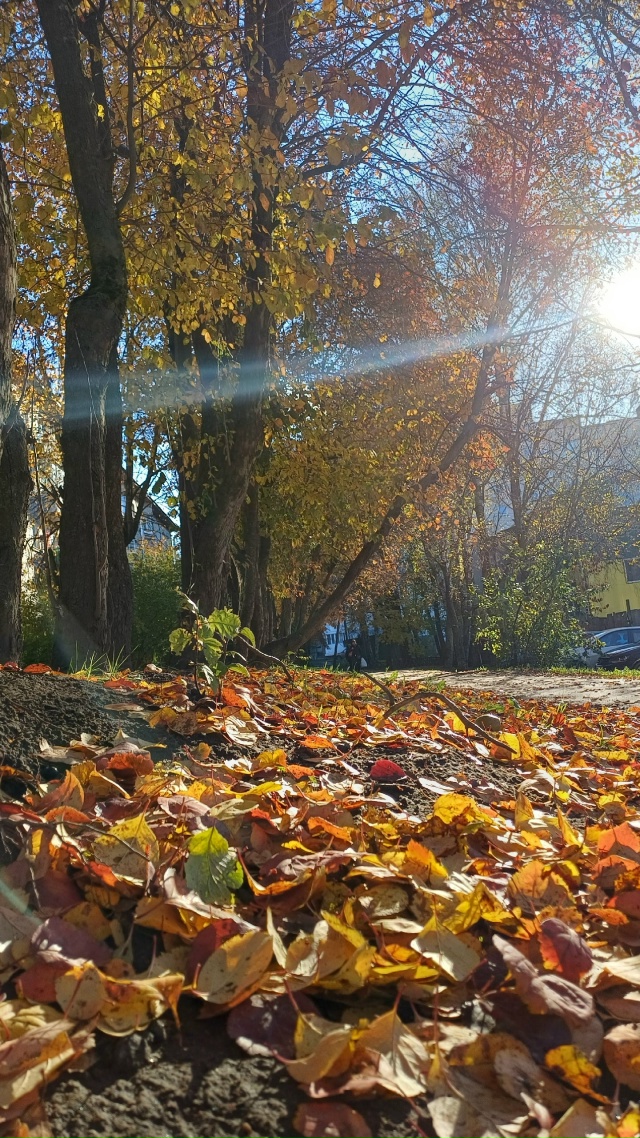 Очень классная погода👌
Особенно одуванчик) Скоро нас?...
