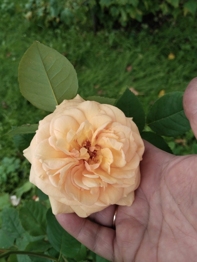 Ну давайте, рассказывайте.....Кому сегодня такие и други...