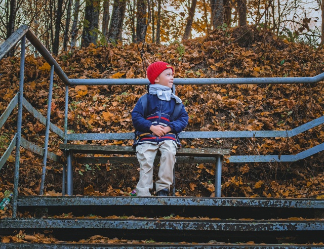 Вечернее осеннее ???
Huawei P60 Pro (lightroom)