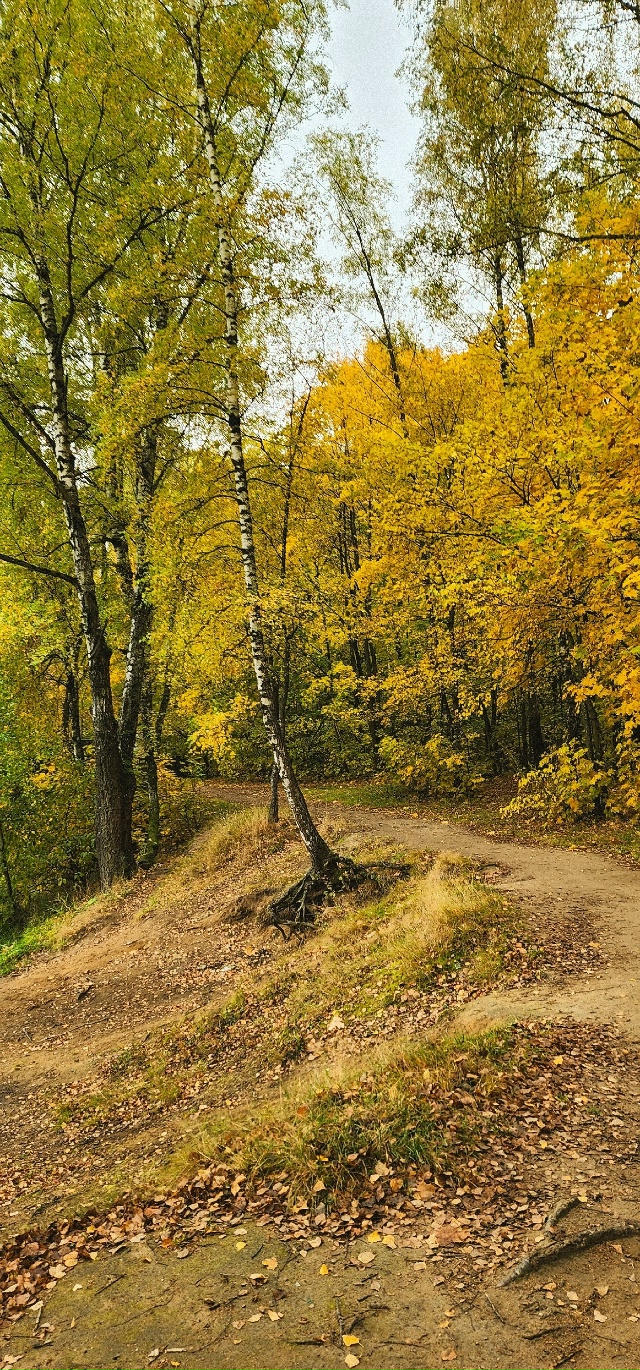 Осень в Балашихе😍