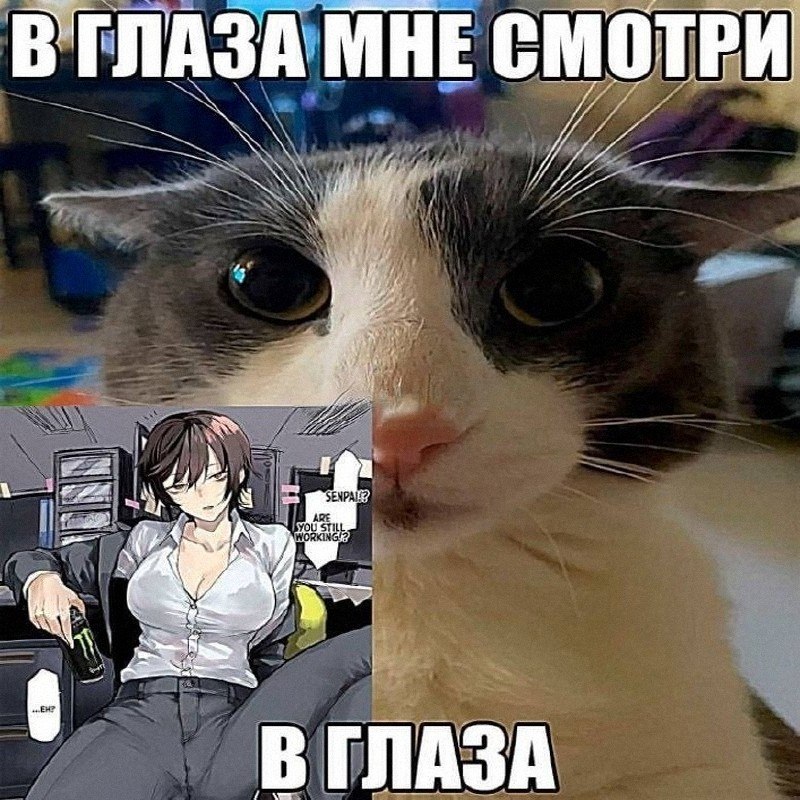 Утренняя подборочка