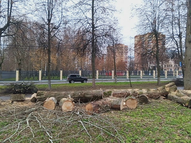 Ну кто же выпиливает по городу никому не мешающие двух?...