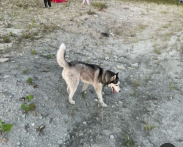 С частного сектора по улице Ручейной (район Нагорная-С?...