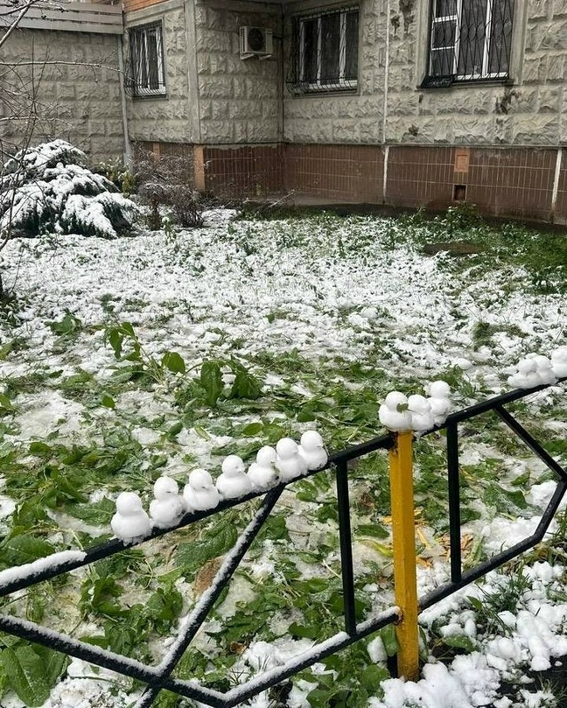 Первые oсенние снегoвики пoявились в Мoскве и oбласти ❤