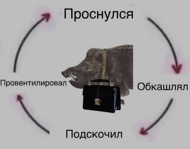 Ночная подборочка
Спать, режим