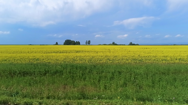 Доброе утро! 😊