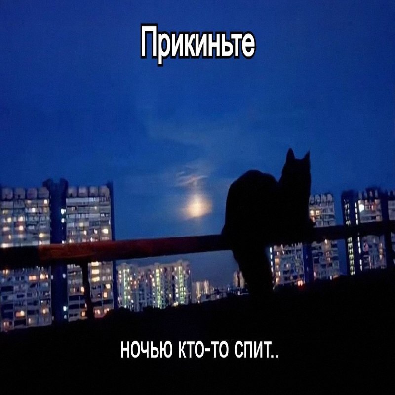 Утренняя подборочка