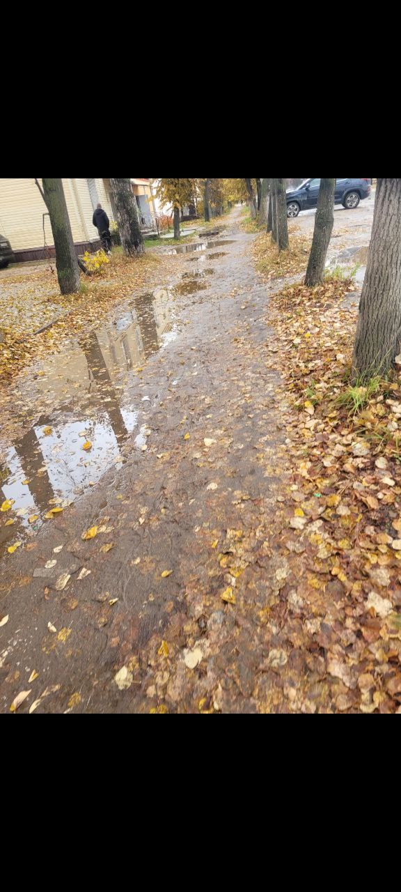 ❗ Я, конечно, понимаю
Многие дворы и прилегающие к осн?...