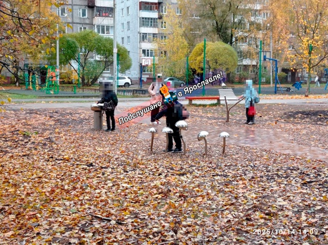 Подписчица вновь поднимает проблему нового музыкальн?...