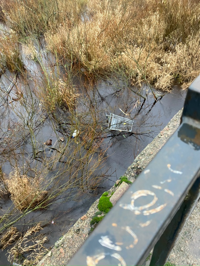 Дети,класса 4,кидают тележки в Святку.Родители,поговор?...