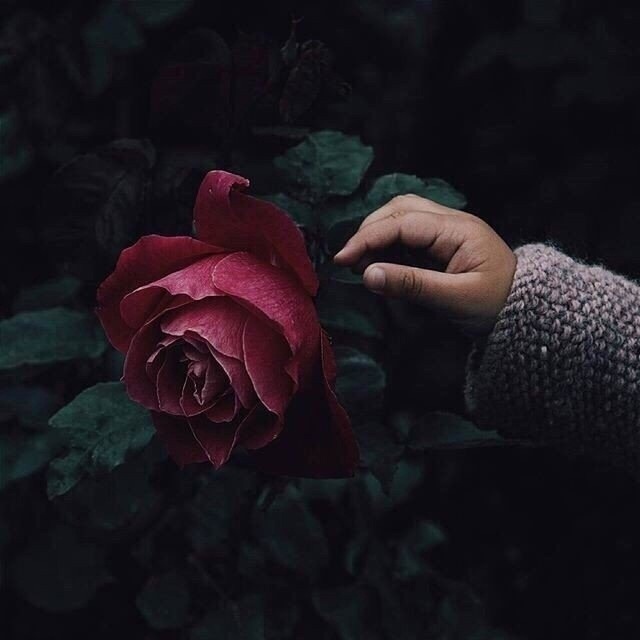 Чистая совесть ни лжи не боится, ни слухов, ни сплетен.