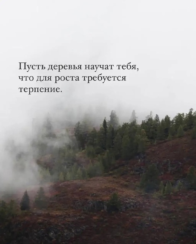 Природа научит