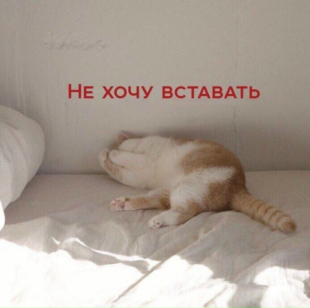 Желание каждого буднего дня