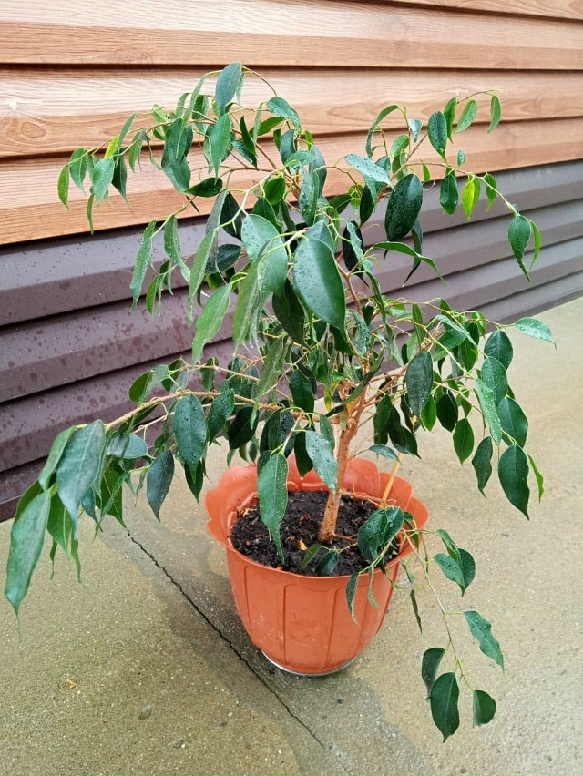 Отдам. 89068320591 Лена.