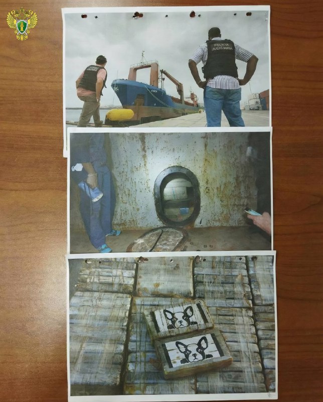 Бабку из Белгорода будут судить за организацию международной контрабанды почти 9 тонн кокаина из Вен