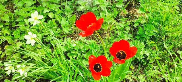 Частичка лета =) как прошло, успели отдохнуть и напитат?...