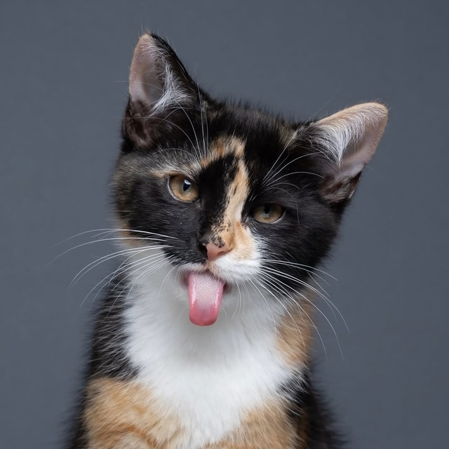 Нильс Якоби — человек с, возможно, самой завидной рабо?...