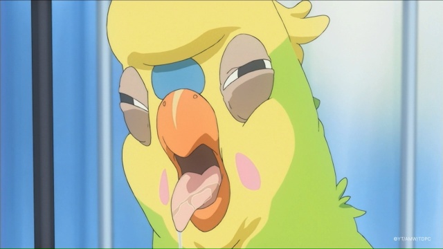 💛 Вспоминаем аниме прошлого: «ТораДора»
Есть такие ?...