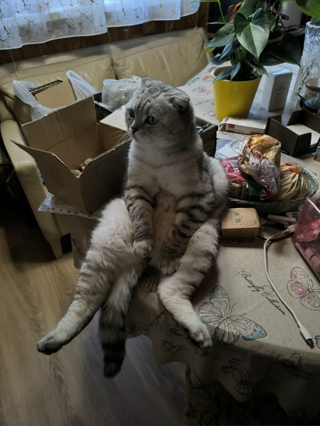 Хулигана заказывали?
Паковать?