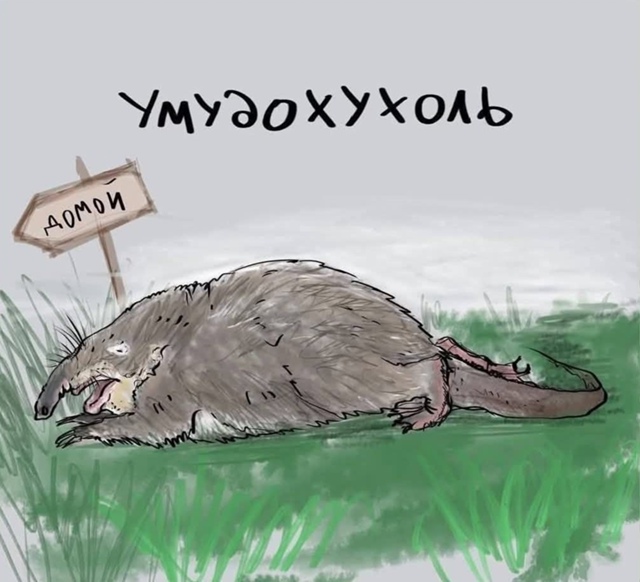 А кто понравился Вам