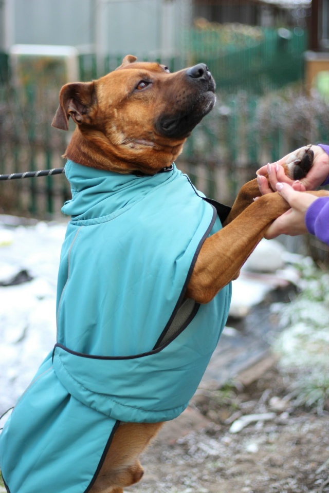 Серпухов, Протвино , Москва и вся Московская область.
С...