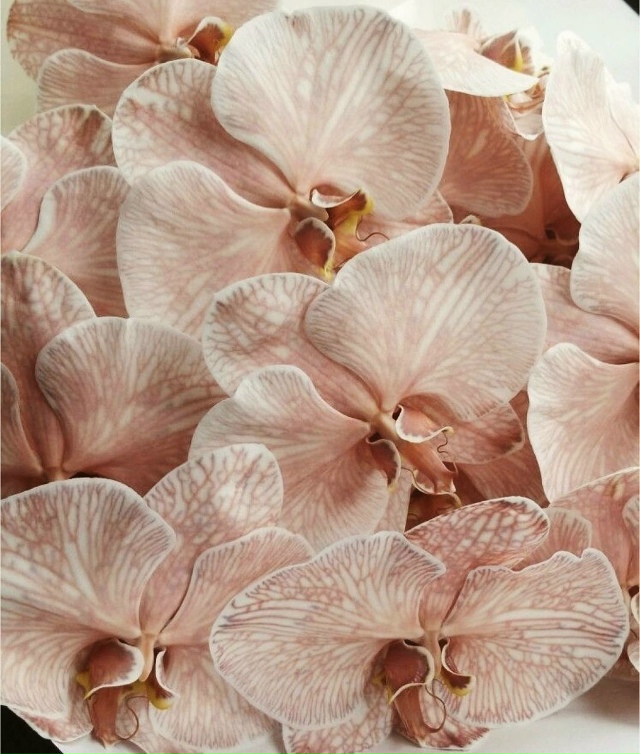 Всё самое прекрасное создано природой.