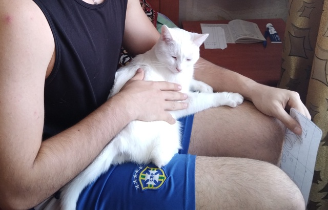 Симба очень любит спать на ручках